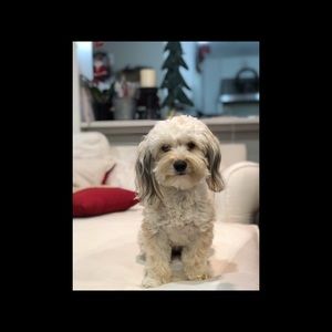 Meet your Posher, Maritess